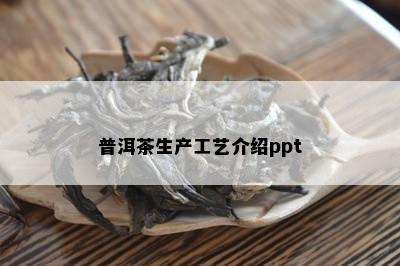 普洱茶生产工艺介绍ppt