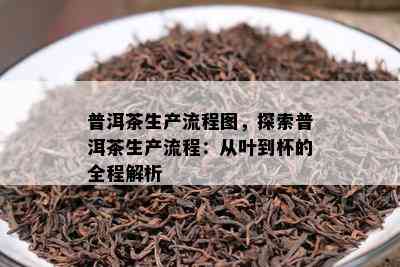 普洱茶生产流程图，探索普洱茶生产流程：从叶到杯的全程解析