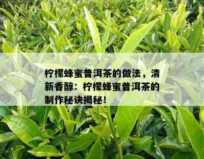 柠檬蜂蜜普洱茶的做法，清新香醇：柠檬蜂蜜普洱茶的制作秘诀揭秘！