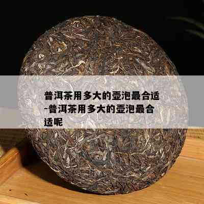 普洱茶用多大的壶泡最合适-普洱茶用多大的壶泡最合适呢