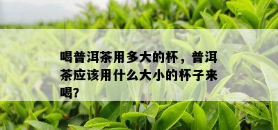 喝普洱茶用多大的杯，普洱茶应该用什么大小的杯子来喝？