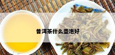 普洱茶什么壶泡好