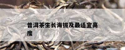 普洱茶生长海拔及最适宜高度