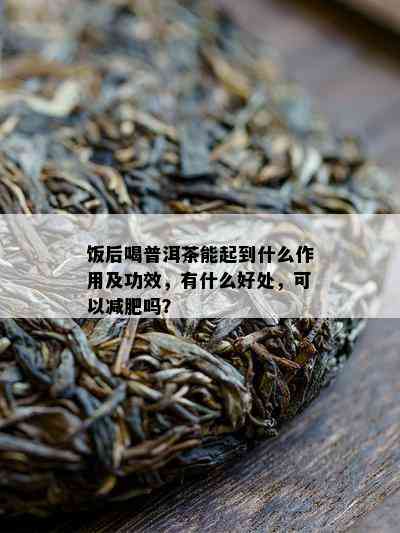 饭后喝普洱茶能起到什么作用及功效，有什么好处，可以减肥吗？