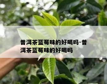 普洱茶蓝莓味的好喝吗-普洱茶蓝莓味的好喝吗