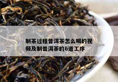 制茶过程普洱茶怎么喝的视频及制普洱茶的6道工序