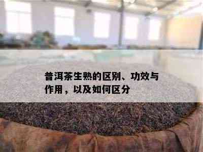 普洱茶生熟的区别、功效与作用，以及如何区分