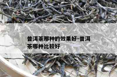 普洱茶那种的效果好-普洱茶哪种比较好