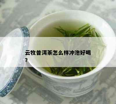 云牧普洱茶怎么样冲泡好喝？