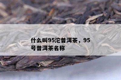 什么叫95沱普洱茶，95号普洱茶名称