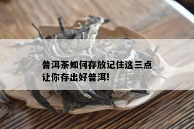 普洱茶如何存放记住这三点让你存出好普洱!