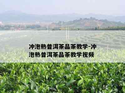 冲泡熟普洱茶品茶教学-冲泡熟普洱茶品茶教学视频