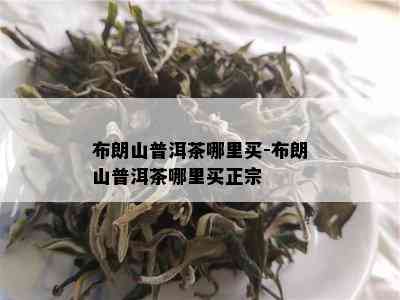 布朗山普洱茶哪里买-布朗山普洱茶哪里买正宗