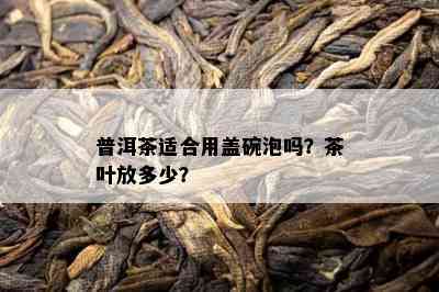 普洱茶适合用盖碗泡吗？茶叶放多少？