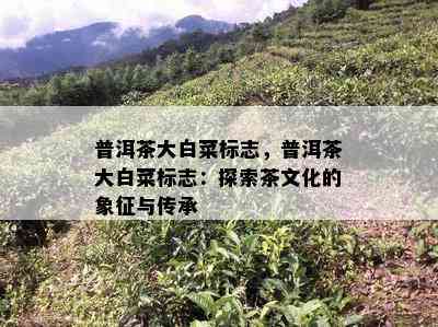 普洱茶大白菜标志，普洱茶大白菜标志：探索茶文化的象征与传承