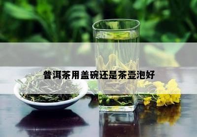 普洱茶用盖碗还是茶壶泡好