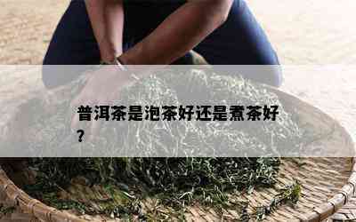 普洱茶是泡茶好还是煮茶好？