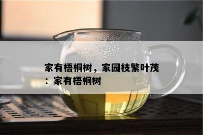 家有梧桐树，家园枝繁叶茂：家有梧桐树