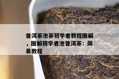 普洱茶泡茶初学者教程图解，图解初学者泡普洱茶：简易教程