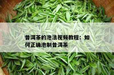 普洱茶的泡法视频教程：如何正确泡制普洱茶