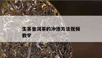 生茶普洱茶的冲泡方法视频教学