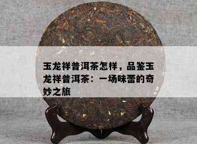 玉龙祥普洱茶怎样，品鉴玉龙祥普洱茶：一场味蕾的奇妙之旅