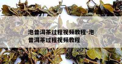 泡普洱茶过程视频教程-泡普洱茶过程视频教程