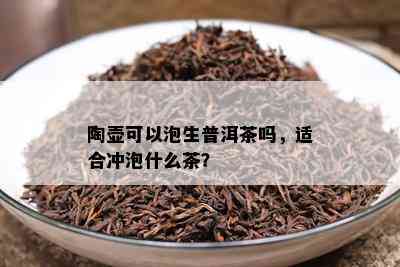 陶壶可以泡生普洱茶吗，适合冲泡什么茶？