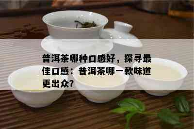 普洱茶哪种口感好，探寻更佳口感：普洱茶哪一款味道更出众？