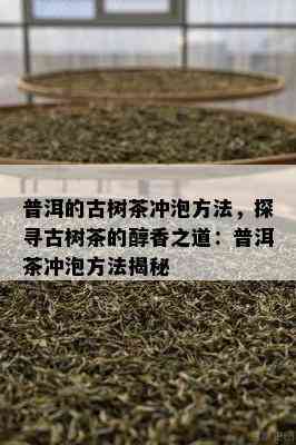 普洱的古树茶冲泡方法，探寻古树茶的醇香之道：普洱茶冲泡方法揭秘