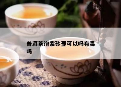 普洱茶泡紫砂壶可以吗有吗