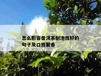 怎么形容普洱茶耐泡性好的句子及口感聚香