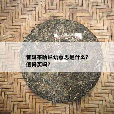 普洱茶哈尼语意思是什么？值得买吗？