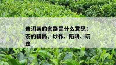 普洱茶的套路是什么意思：茶的骗局、炒作、陷阱、玩法