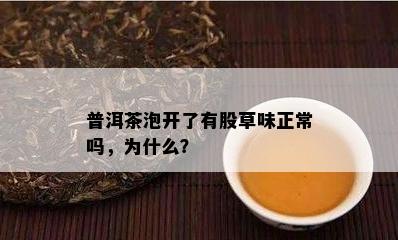 普洱茶泡开了有股草味正常吗，为什么？