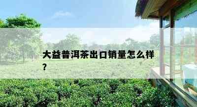 大益普洱茶出口销量怎么样？