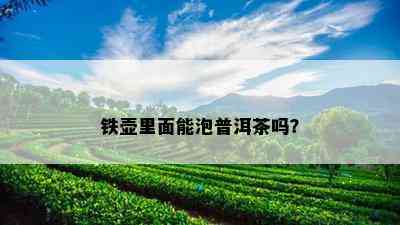 铁壶里面能泡普洱茶吗？