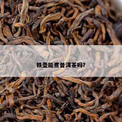 铁壶能煮普洱茶吗？