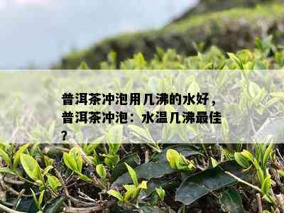 普洱茶冲泡用几沸的水好，普洱茶冲泡：水温几沸更佳？