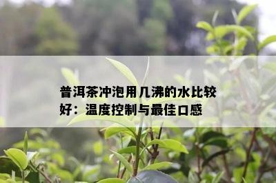 普洱茶冲泡用几沸的水比较好：温度控制与更佳口感