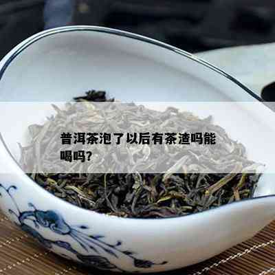 普洱茶泡了以后有茶渣吗能喝吗？