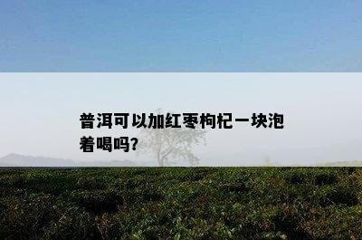 普洱可以加红枣枸杞一块泡着喝吗？