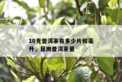 10克普洱茶有多少片和毫升，目测普洱茶量