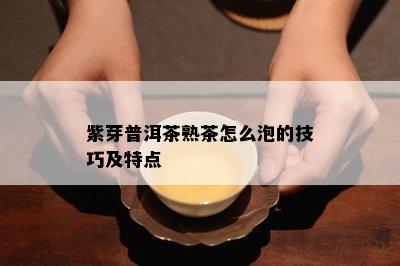 紫芽普洱茶熟茶怎么泡的技巧及特点