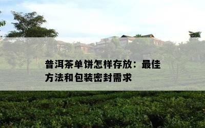 普洱茶单饼怎样存放：更佳方法和包装密封需求