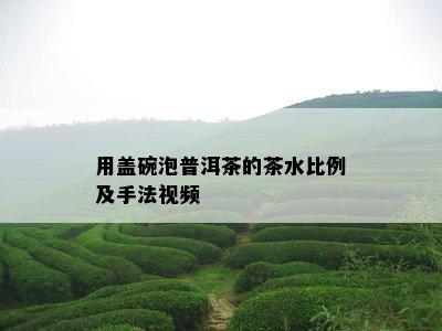 用盖碗泡普洱茶的茶水比例及手法视频