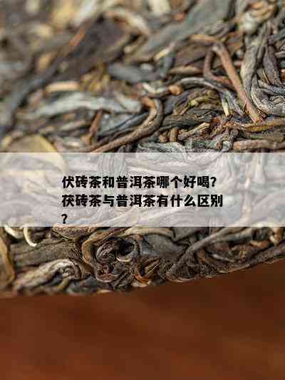 伏砖茶和普洱茶哪个好喝？茯砖茶与普洱茶有什么区别？