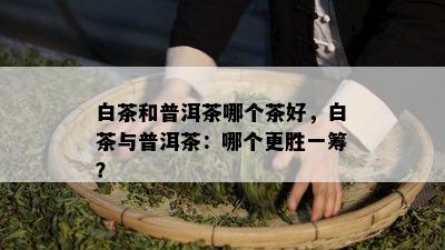 白茶和普洱茶哪个茶好，白茶与普洱茶：哪个更胜一筹？