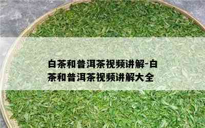 白茶和普洱茶视频讲解-白茶和普洱茶视频讲解大全