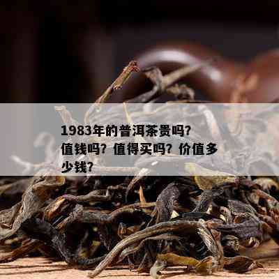 1983年的普洱茶贵吗？值钱吗？值得买吗？价值多少钱？